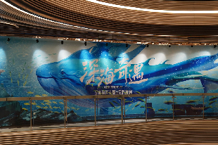 《深海奇遇》全新海洋主題VR沉浸展