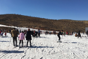 青青冰雪乐园