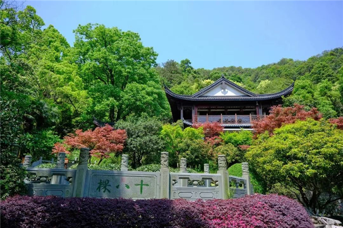 杭州老龍井十八棵御茶園