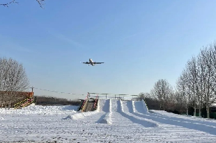 花木里冰雪王國