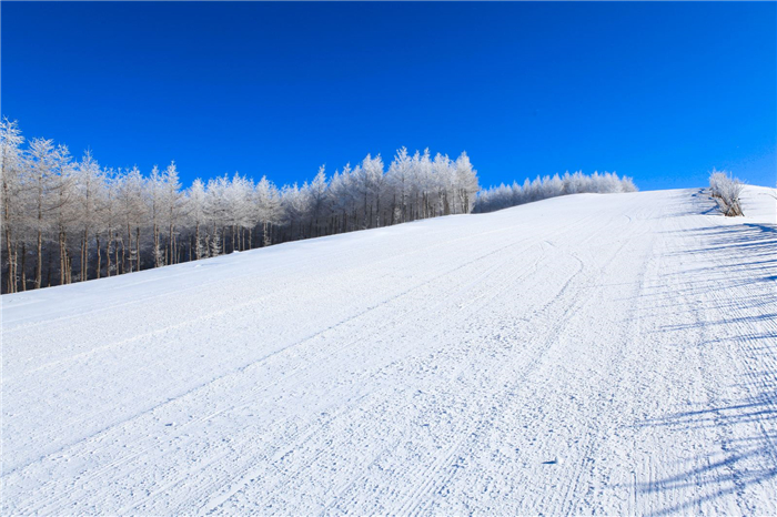 齊齊哈爾明月島滑雪場(chǎng)