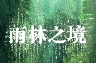 雨林之境展览