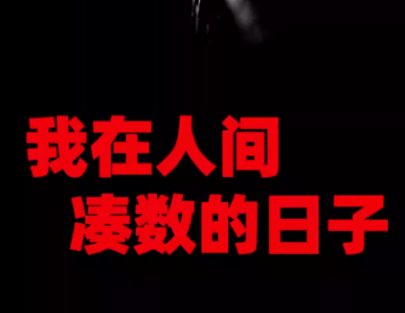 南有乔木剧场·总统府店