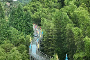 半日懒竹林漂流