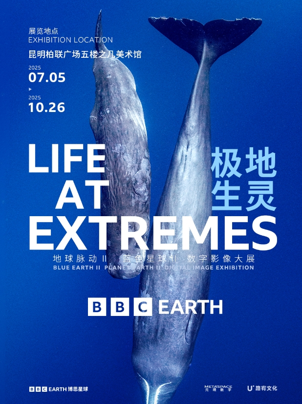 「昆明首展」英國BBC EARTH 極地生靈數(shù)字影像大展