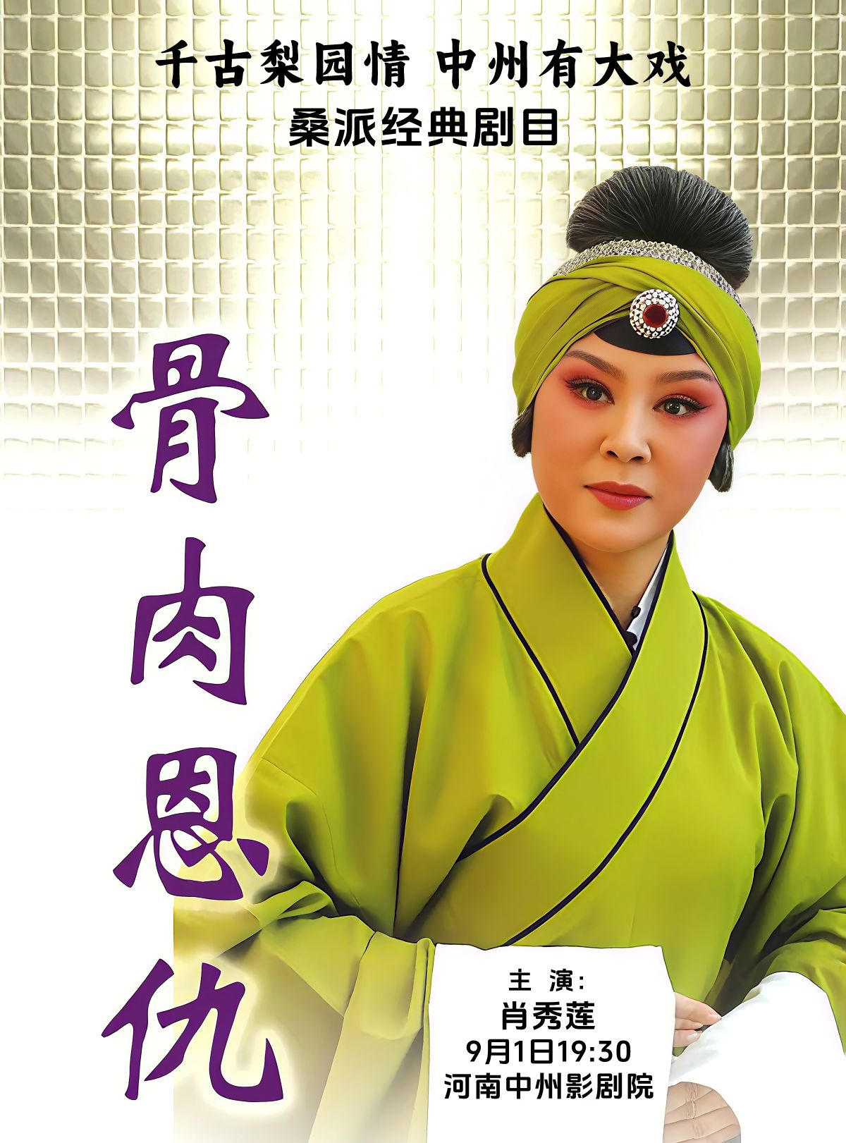【郑州】千古梨园情 中州有大戏桑派经典剧目豫剧《骨肉恩仇》