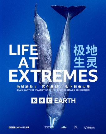 深圳BBC EARTH 极地生灵数字影像大展