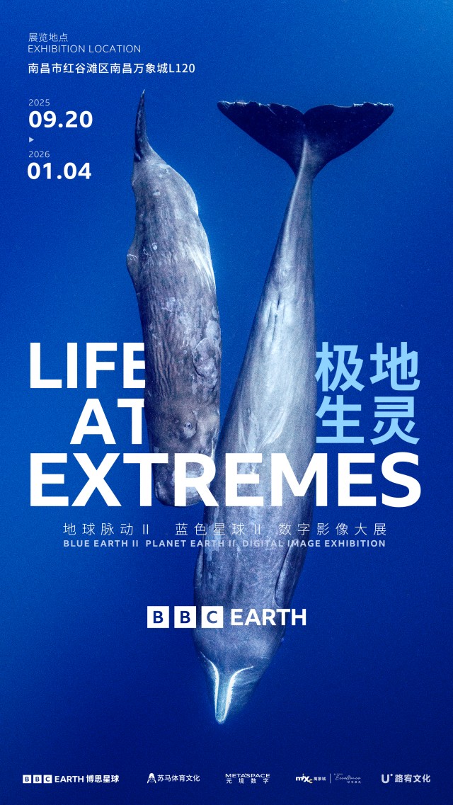 南昌BBC EARTH极地生灵数字影像大展