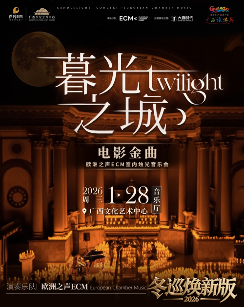 南宁《暮光之城》电影金曲烛光音乐会