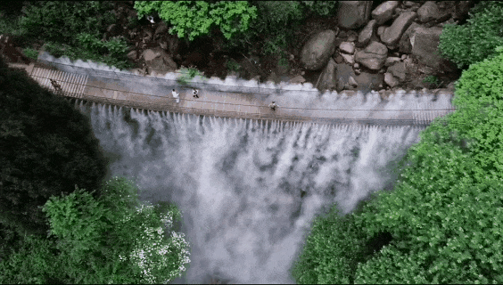 /uploads/image/2020/06/17/f8b32457b42a85762e5e6bc41abd0b20.gif