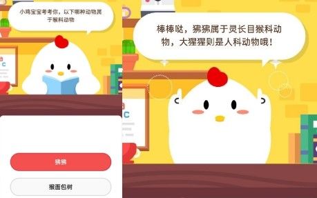 成年人减肥后，体内脂肪细胞减少了吗？