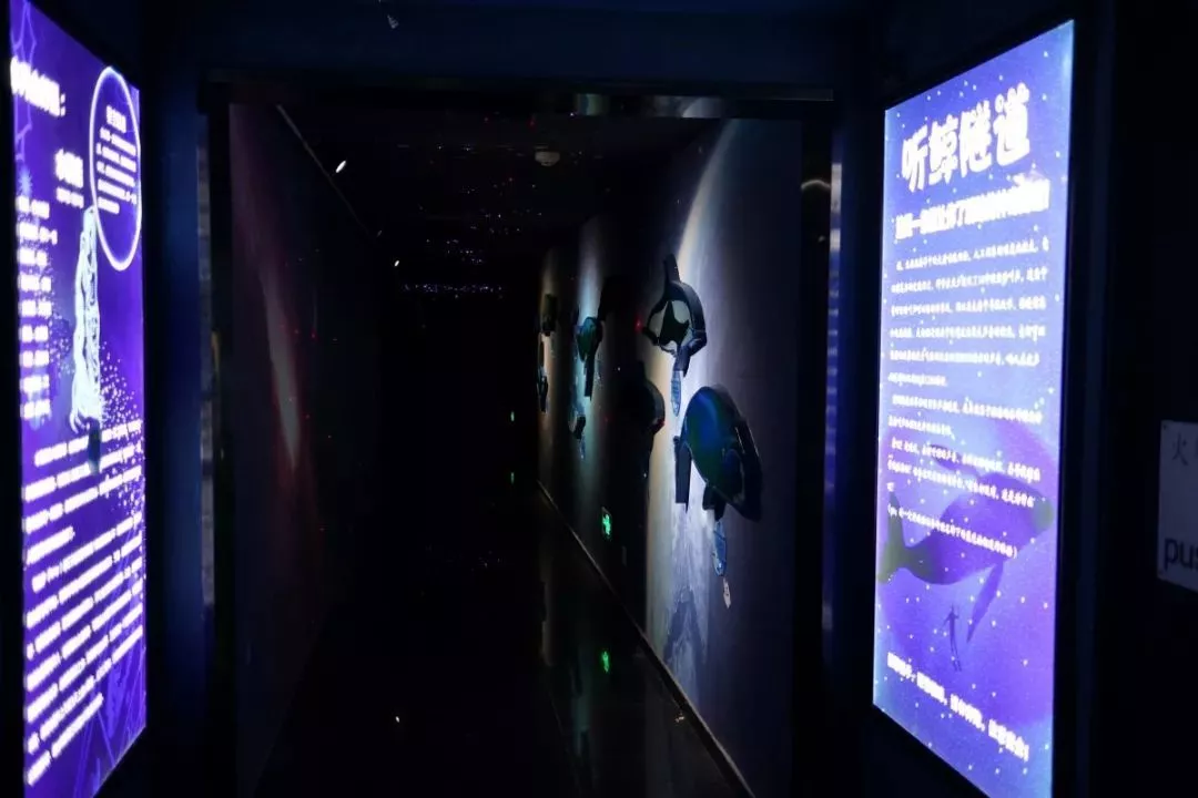 北京富国海底世界2.png