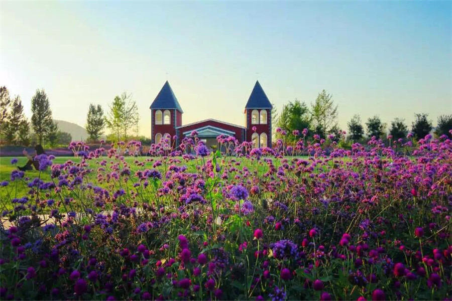 天津紫雲水岸香草園-七夕精選--紫雲水岸香草園滿眼大自然-大河票務網