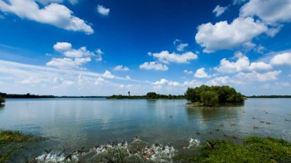 溱湖國家濕地公園