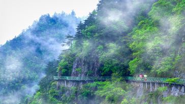 灵江源森林公园