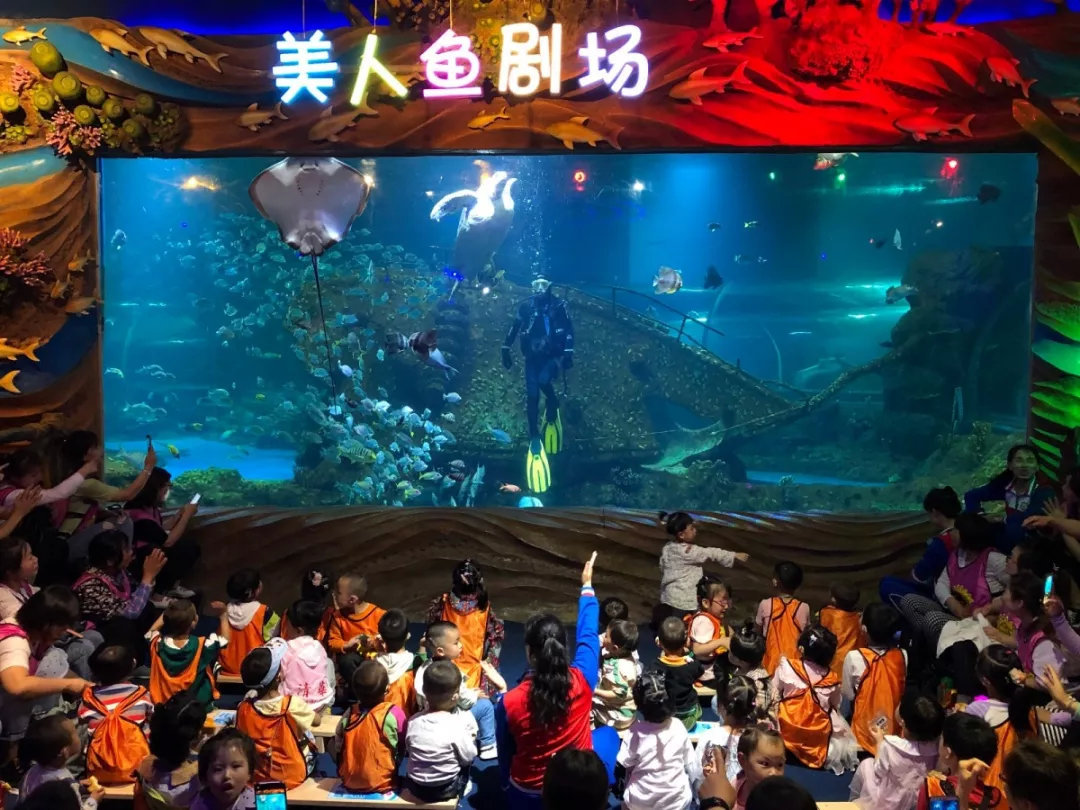 2020西安幻太奇海洋馆教师节免费游玩指南来啦!