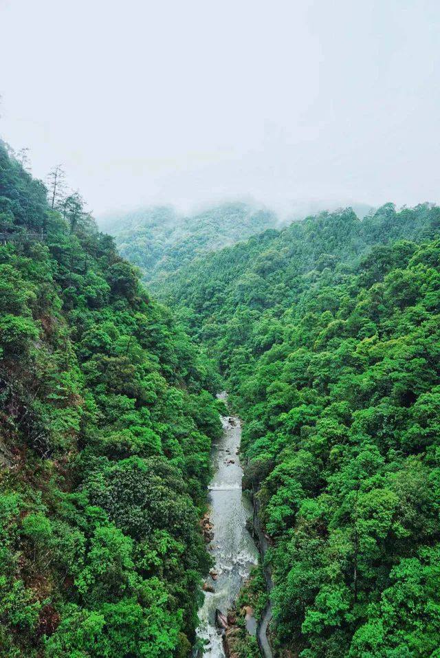 汝城九龍江國家森林公園