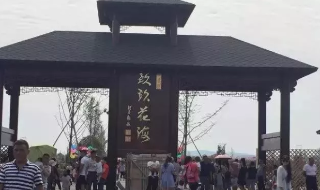 安徽玖玖花海观光园