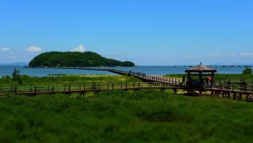 海陵岛红树林国家湿地公园