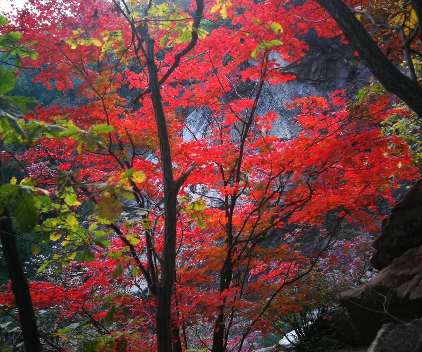 丹东五龙山