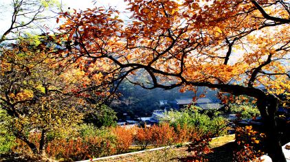 千山风景名胜区
