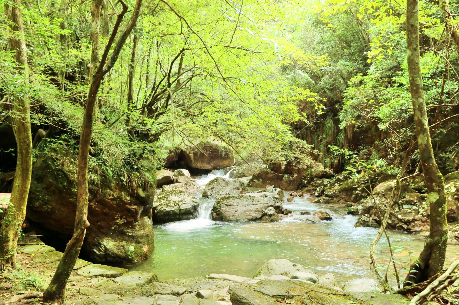 丽水千佛山景区