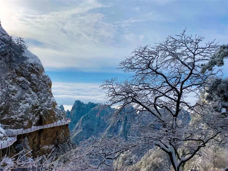 洛阳老君山风景区门票价格/景区地址/开放时间/景区介绍