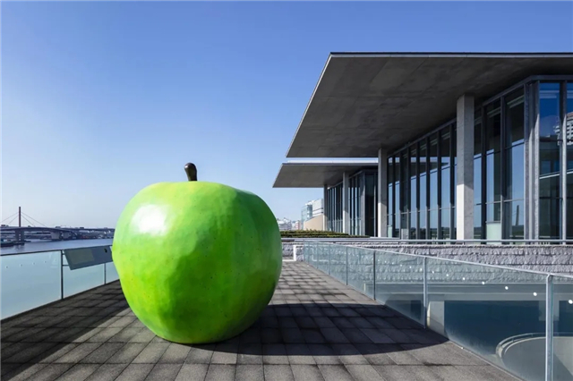 上海安藤忠雄挑战展时间地点门票价格订票网址