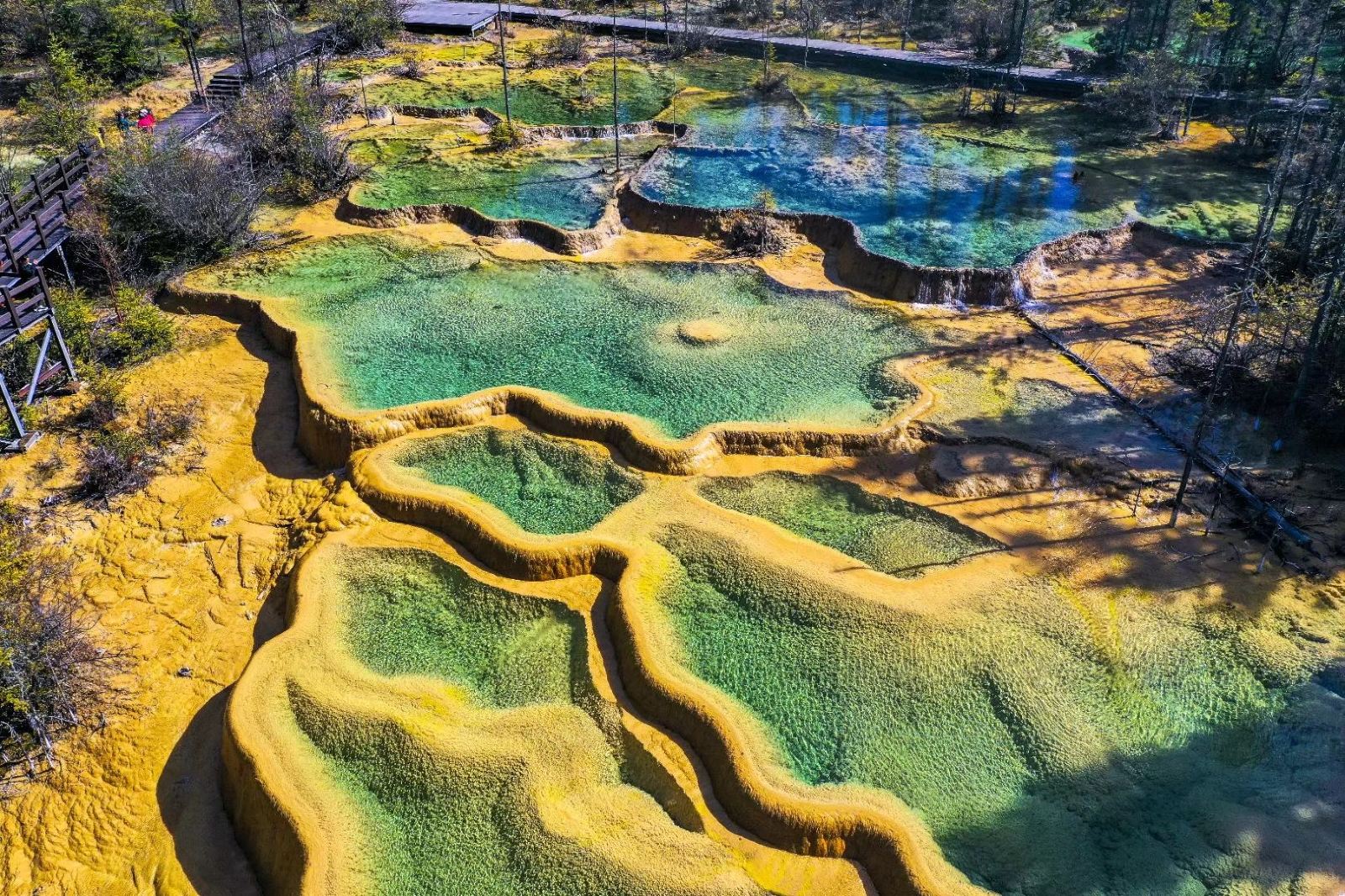 神仙池风景区内,舒展的枝条,翠绿的藤蔓,清澈的湖水