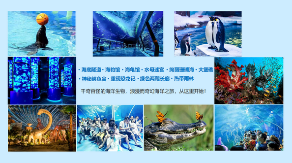 海洋世界4.png