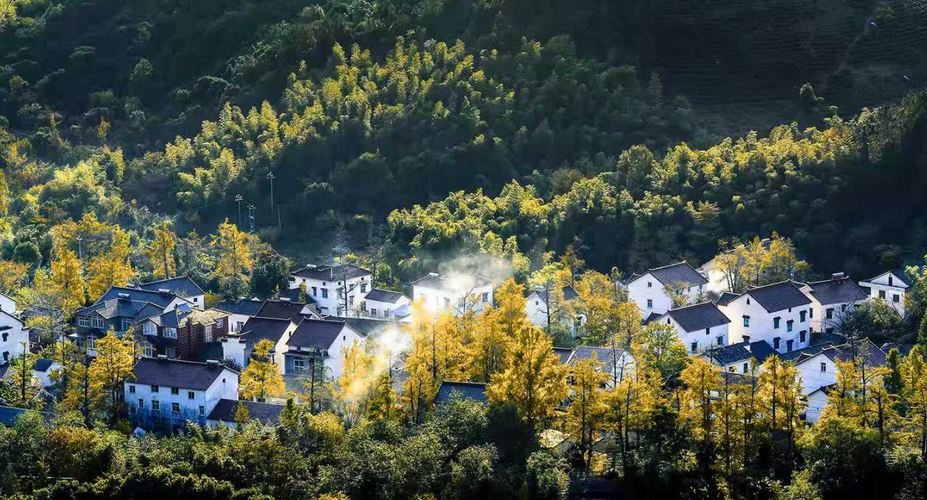 銀杏谷激情漂流