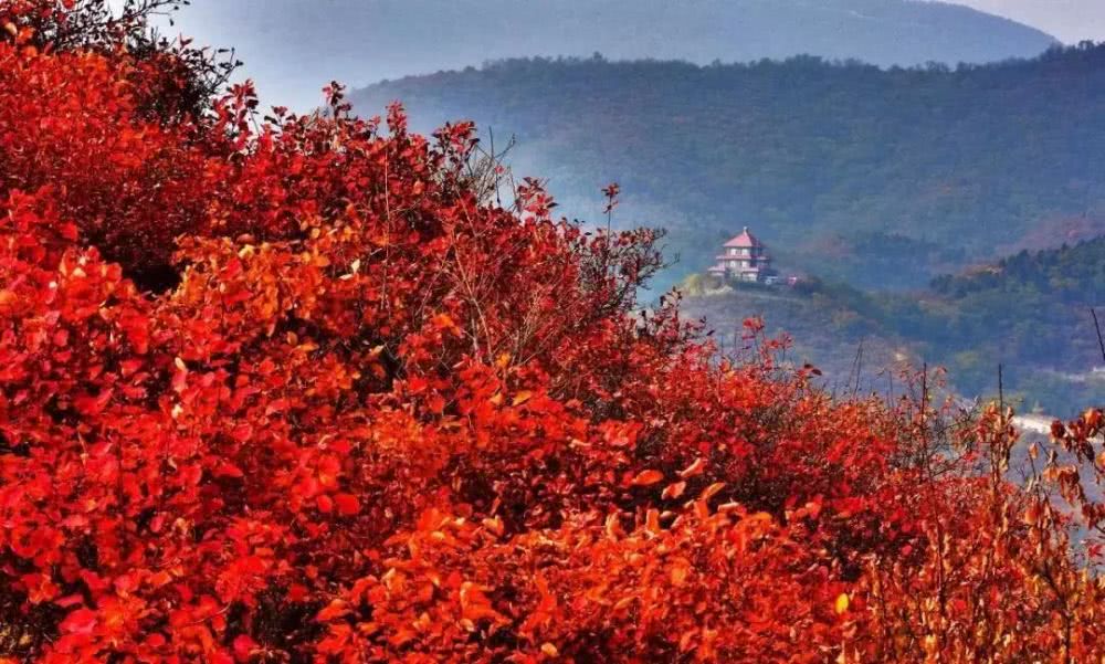 北京香山红叶最佳观赏期