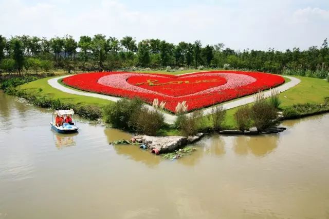 上海周浦花海公園門票價格營業時間及遊玩攻略