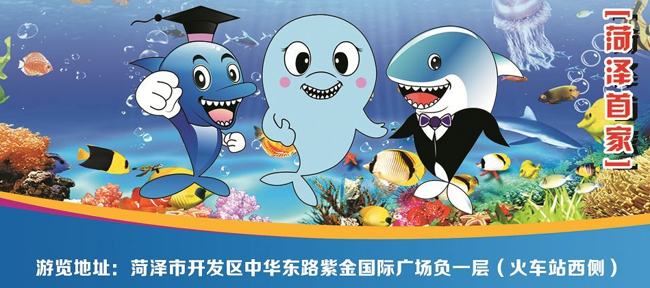2024菏泽三鲨海洋世界门票价格及优惠政策(附游玩攻略)
