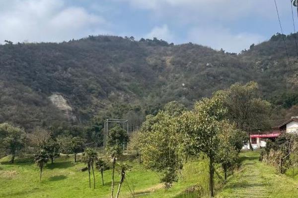 長沙黑麋峰森林公園門票多少錢 長沙黑麋峰森林公園有什么好玩的