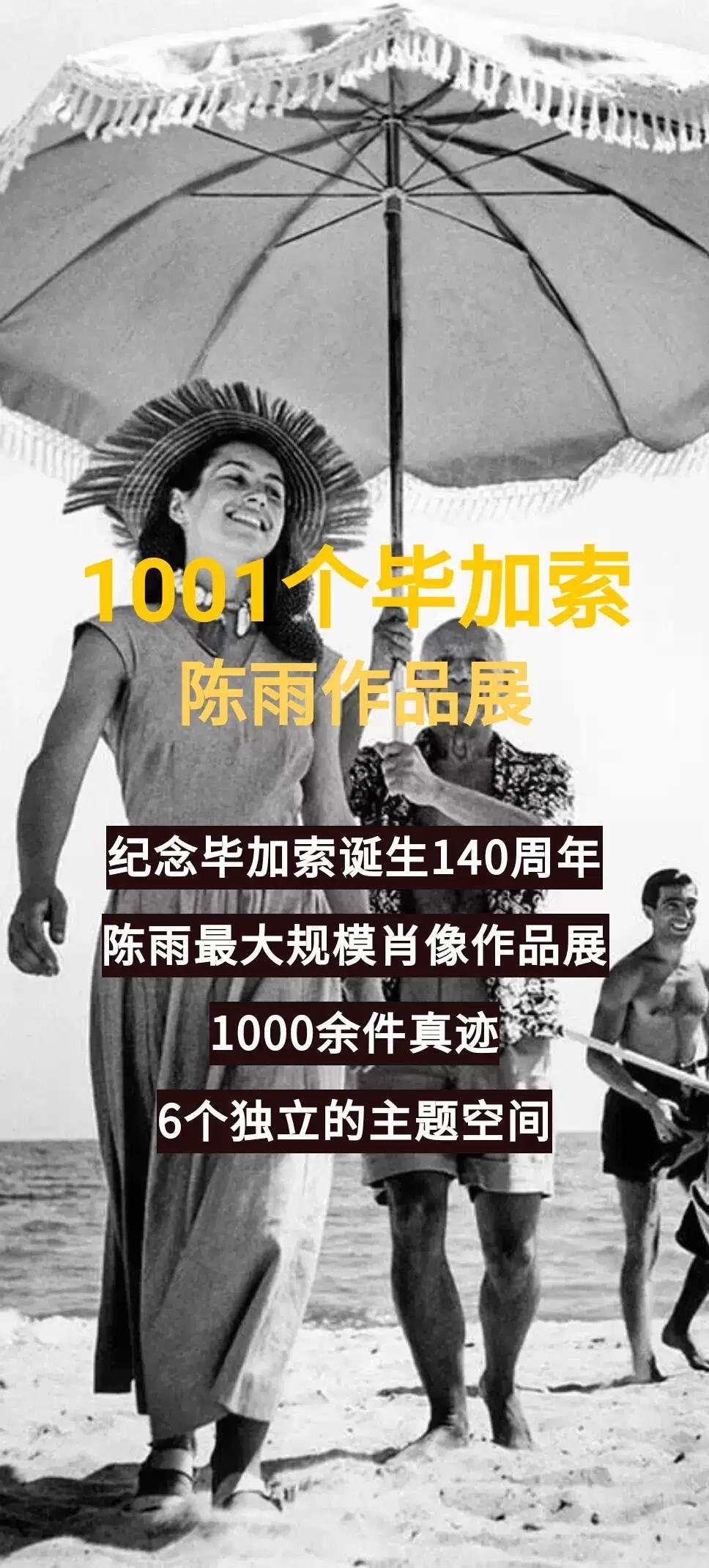 1001个毕加索陈雨作品展杭州站