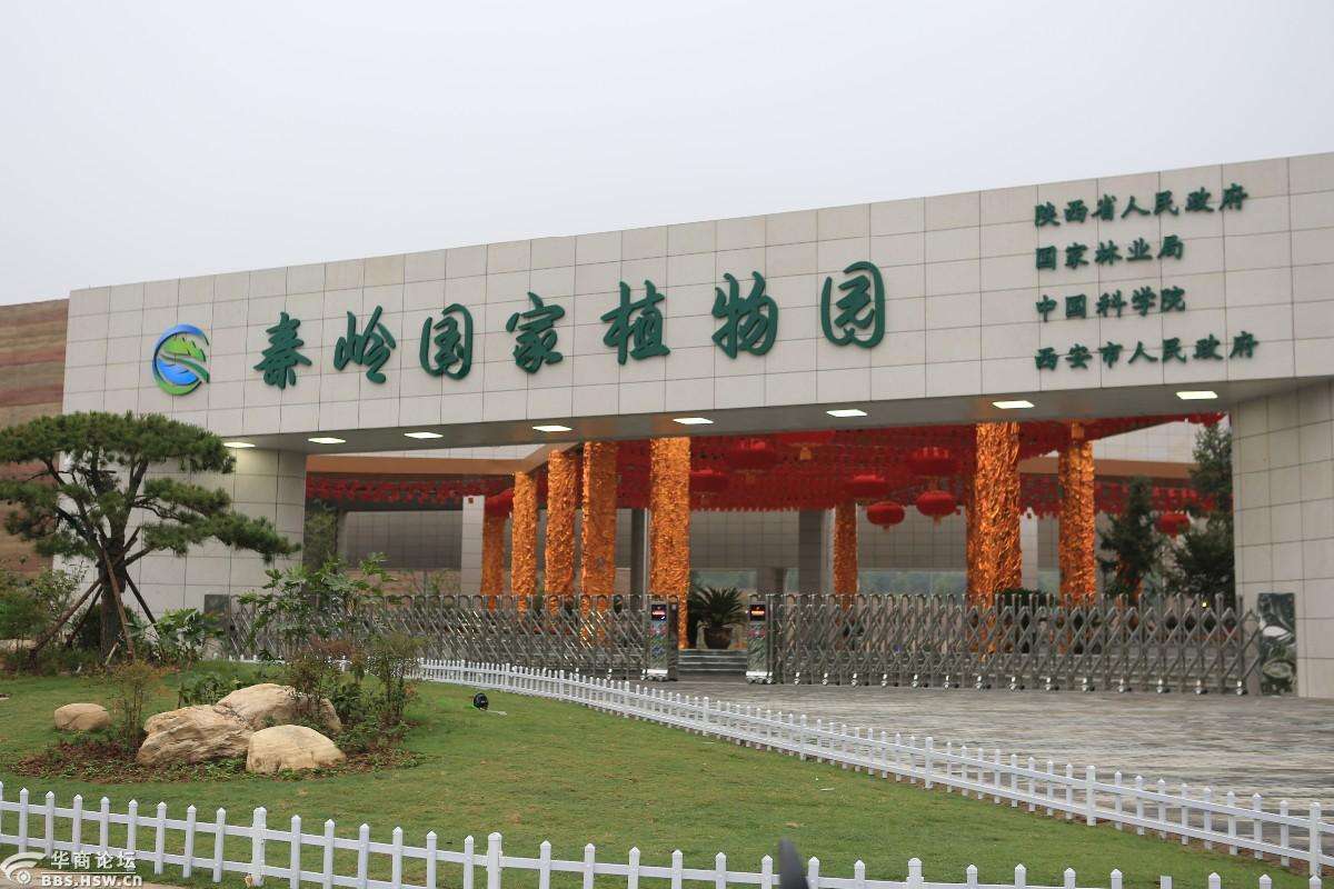 http://img.dahepiao.com/uploads/allimg/200325/138495-200325110KDb.jpg