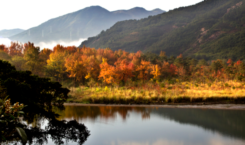 杨家溪旅游景点介绍图片