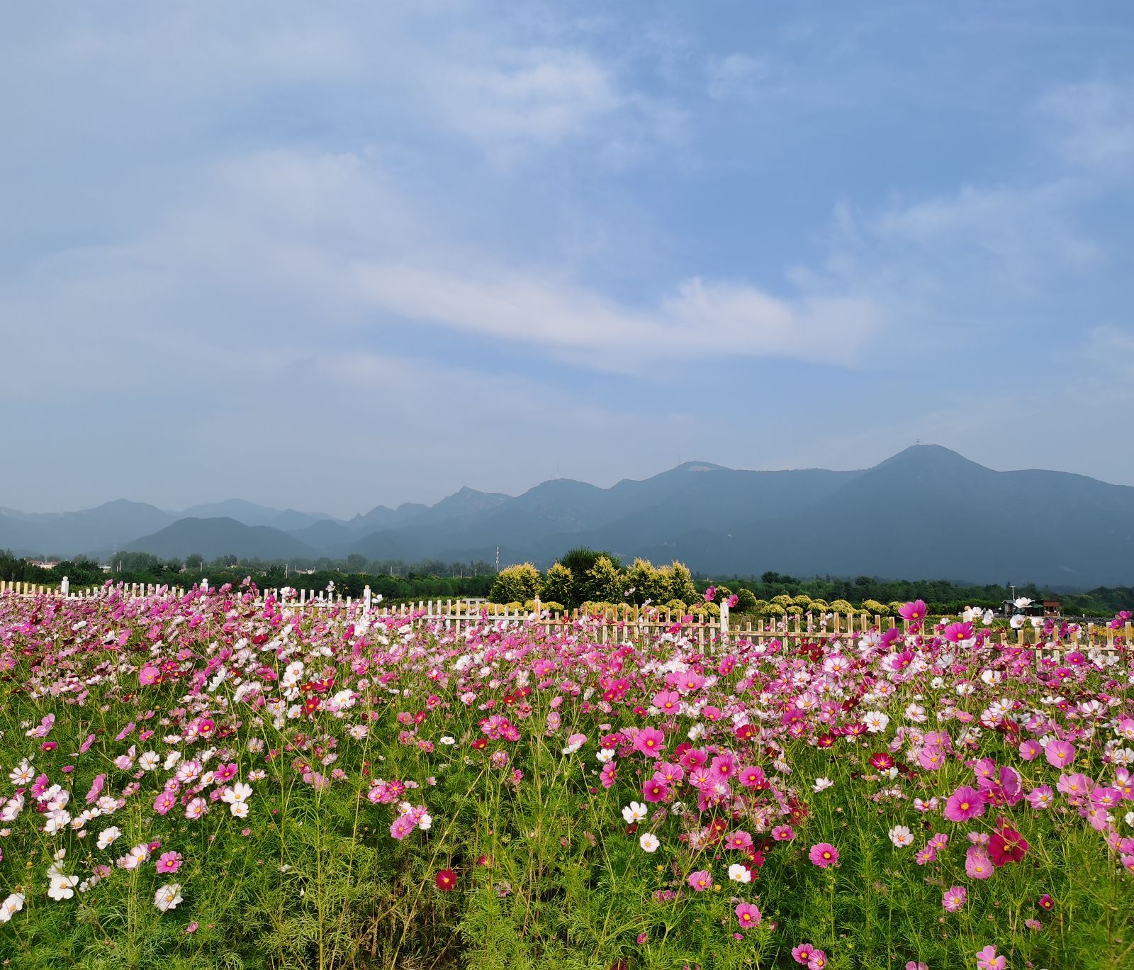 七孔桥花海公园图片