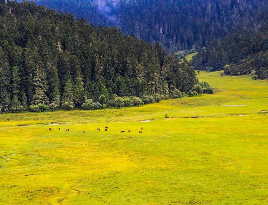 迪庆藏族自治州普达措国家公园