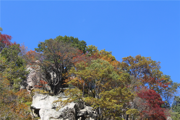 2025平頂山堯山門(mén)票價(jià)格、開(kāi)放時(shí)間、地址、購(gòu)票入口