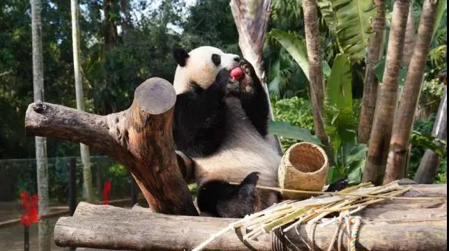 微信图片_20211007163346.jpg