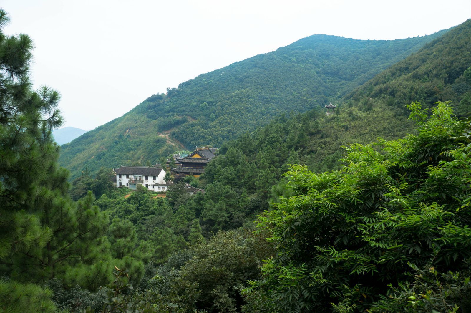 大杨山自然风景区图片