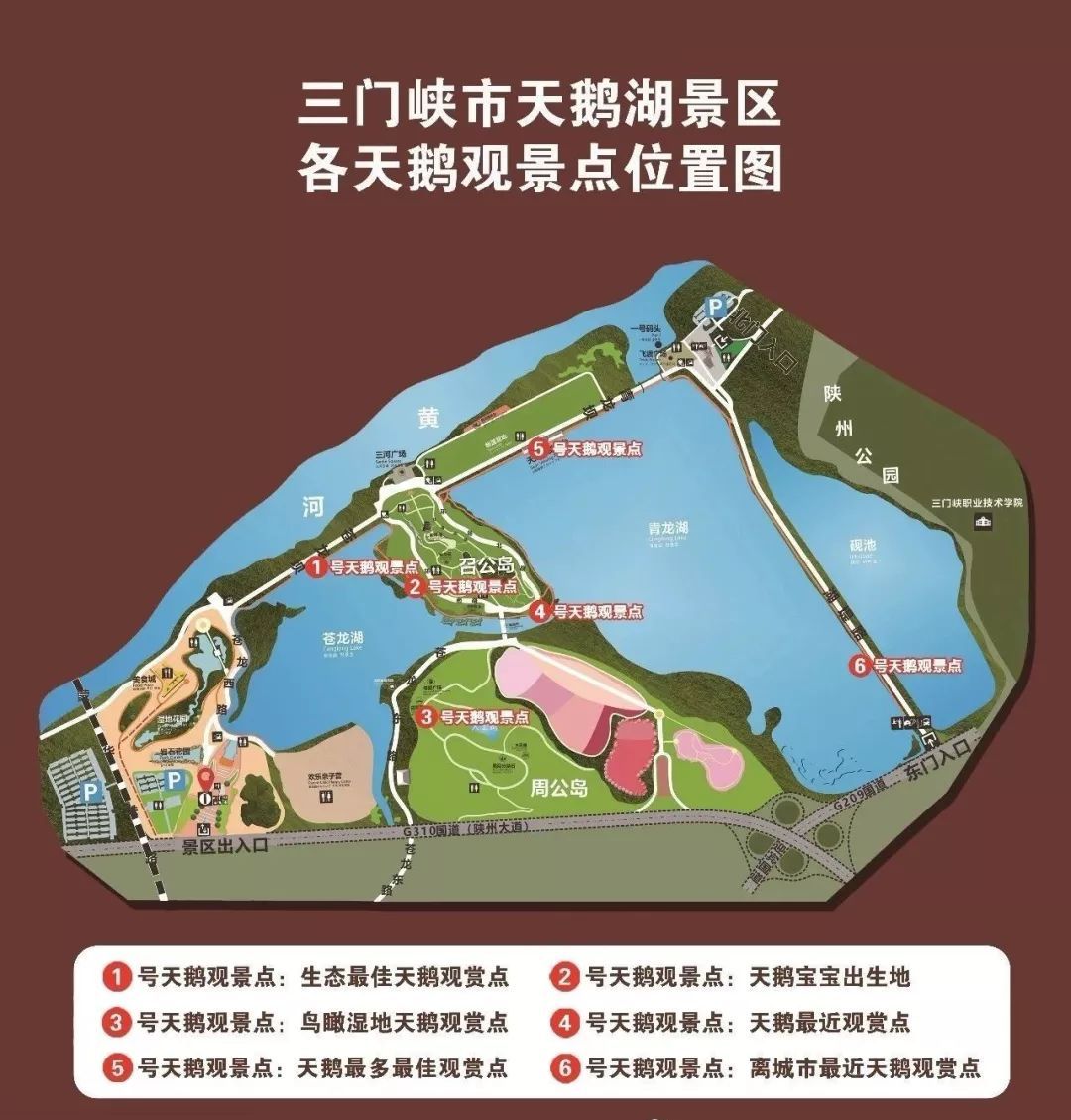 肥城天鹅湖风景区门票图片