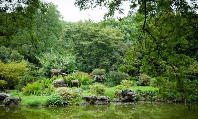 杭州植物園好玩嗎？門票價(jià)格多少？（附游玩路線）