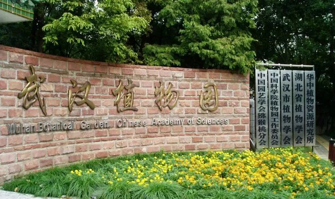 2025武漢植物園門票價格及優(yōu)惠政策(附游玩攻略)