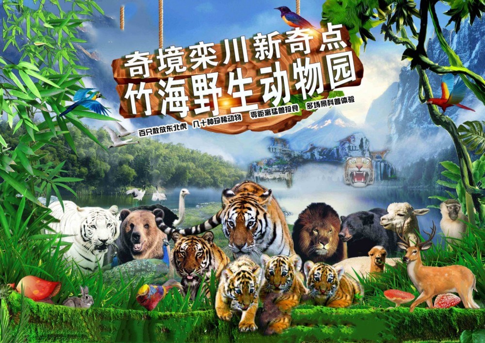 2024栾川竹海野生动物园门票预约（免票时间+游玩攻略）