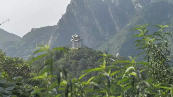 南阳七峰山风景区怎么样（景区介绍+游玩攻略+门票价格）信息一览