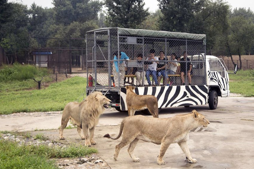 北京野生動物園