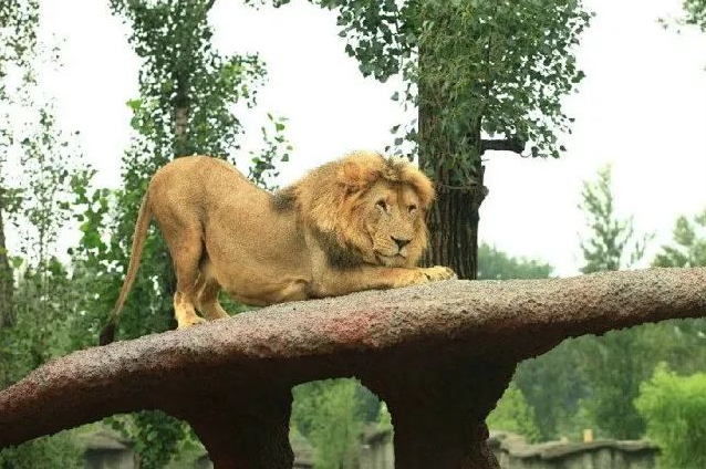 北京野生動物園